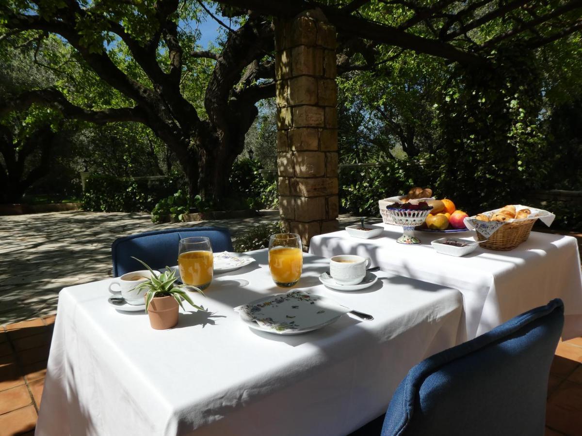 Domaine Du Paradis Des Oiseaux Mougins Kültér fotó
